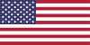 US Flag button